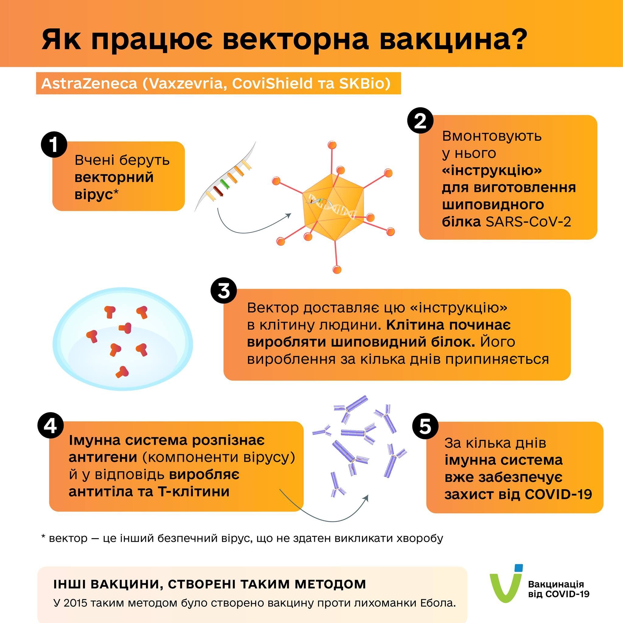 Як працюють різні типи вакцин?