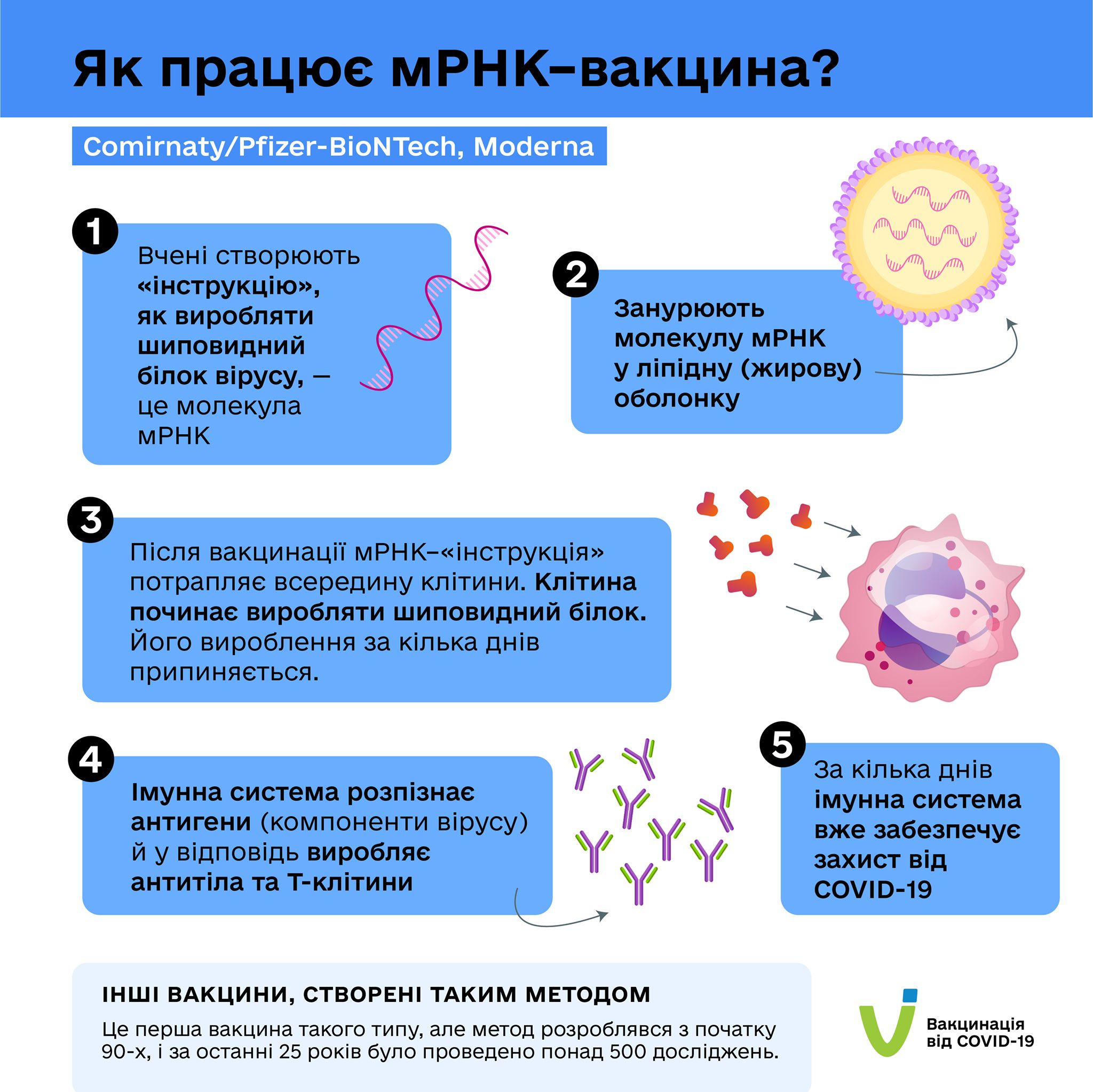 Як працюють різні типи вакцин?