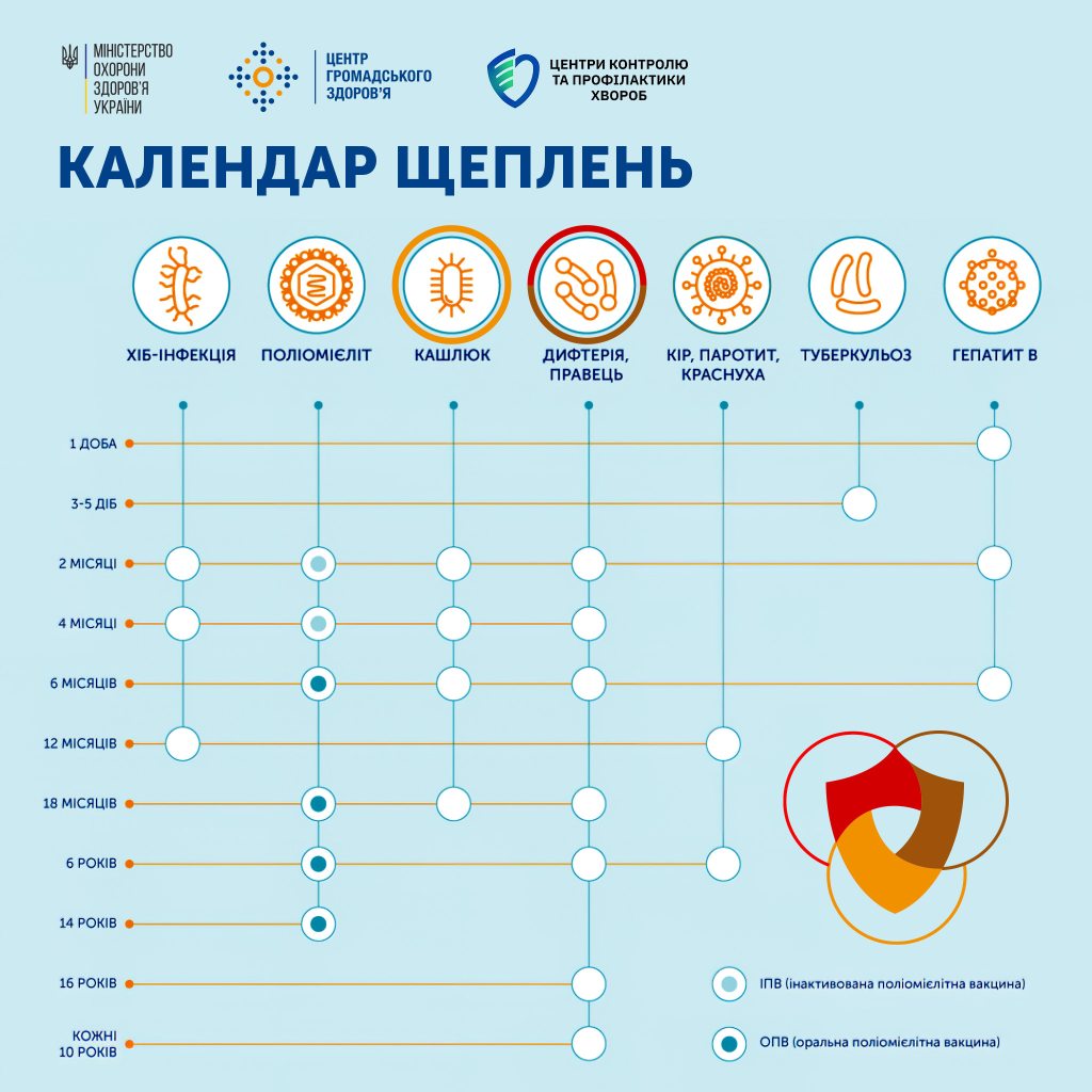 Національний календар щеплень — зручне нагадування, коли отримати всі обов’язкові вакцини вчасно